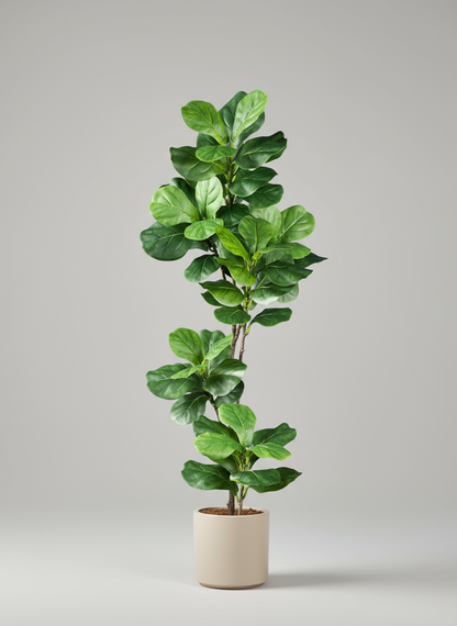 Large Artificial Ficus Tree – Decorative Rubber Plant with Fiddle Leaves